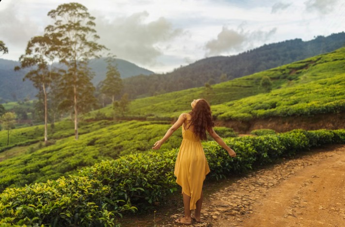 🏔️ Best of Sikkim & West Bengal | Lakes, Peaks & Tea Trails Tour Package